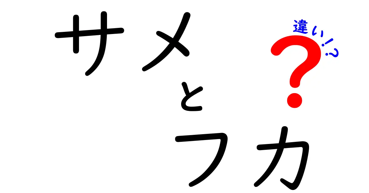 サメとフカの違いを徹底解説！あなたはどっちが好き？