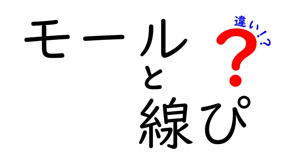 モールと線ぴの違いを徹底解説！選び方や魅力を知ろう