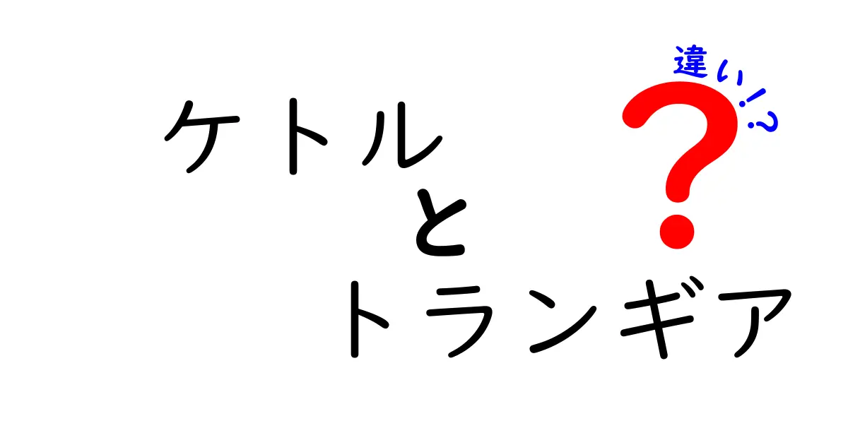 ケトルとトランギアの違いを徹底解説！どちらを選ぶべき？