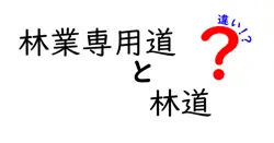 林業専用道と林道の違いは？