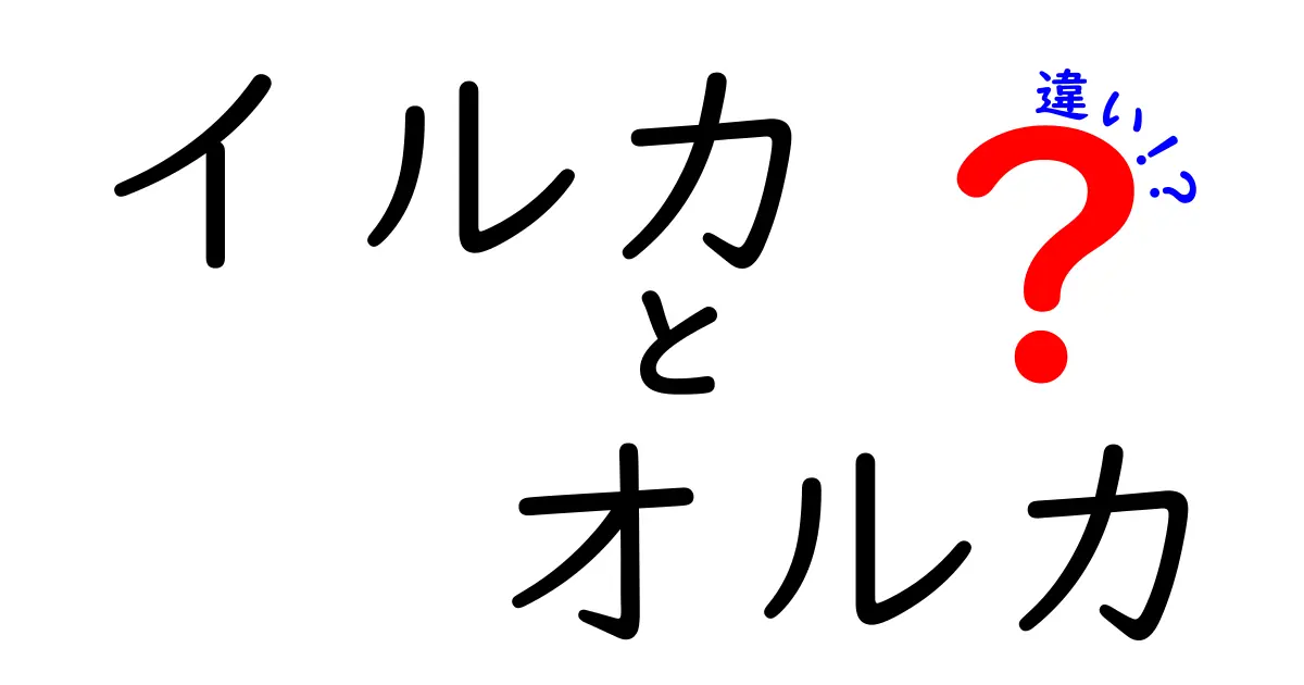 イルカとオルカの違いを徹底解説！見分け方や生態について知ろう