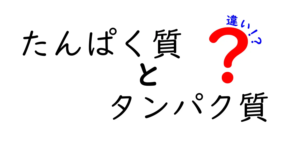 「たんぱく質」と「タンパク質」の違いとは？それぞれの意味と使い方を解説！