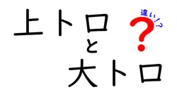 上トロと大トロの違いは？