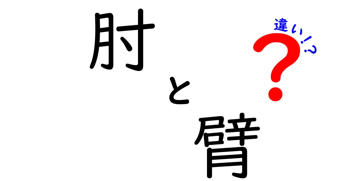 肘と臂の違いを理解するためのガイド