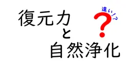 復元力と自然浄化の違いは？
