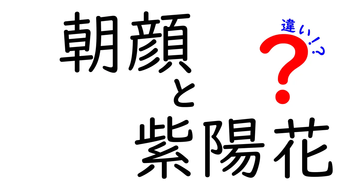 朝顔と紫陽花の違いとは？特徴や育て方を徹底比較！