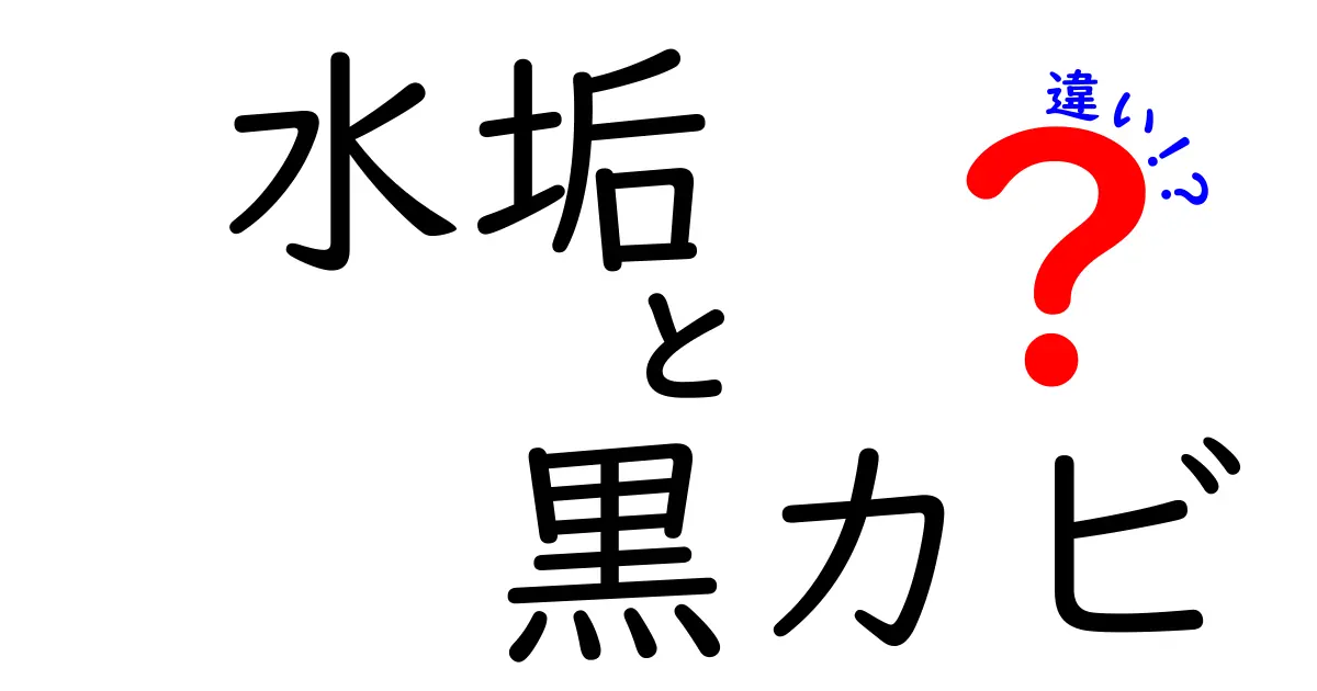 水垢と黒カビの違いを徹底解説！見分け方や対策法を紹介