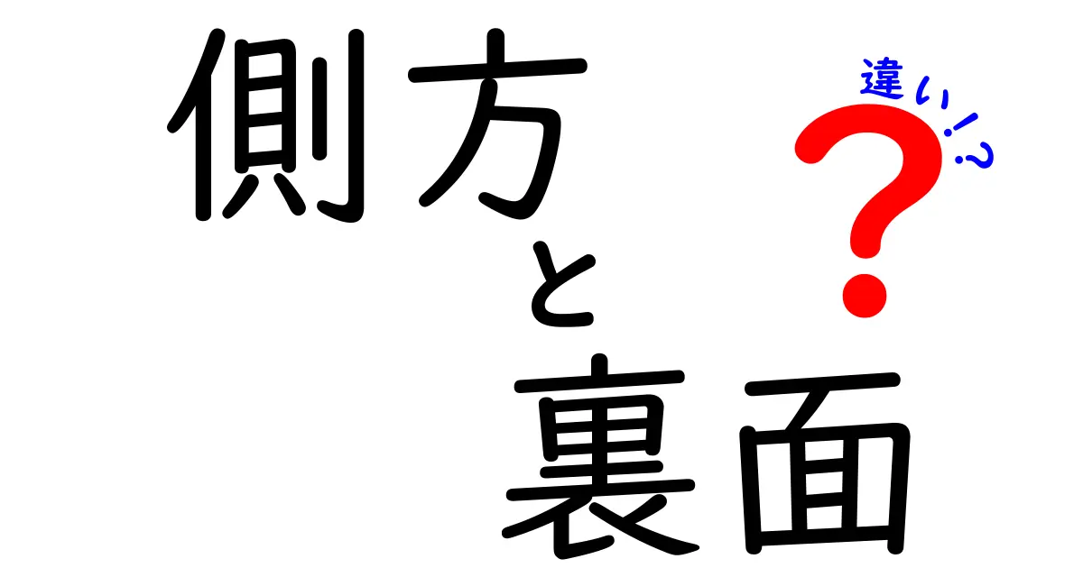 側方と裏面の違いを徹底解説！どっちがどの面なのか分かりやすく説明します