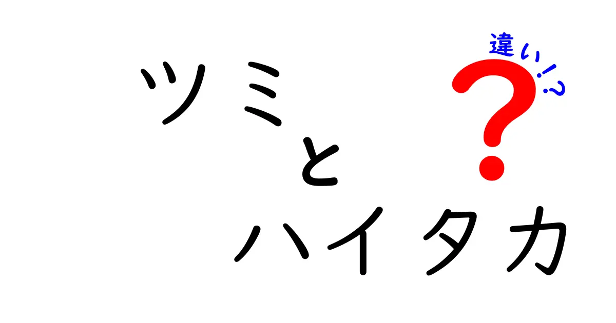 ツミとハイタカの違いを徹底解説！見分け方や生態を学ぼう