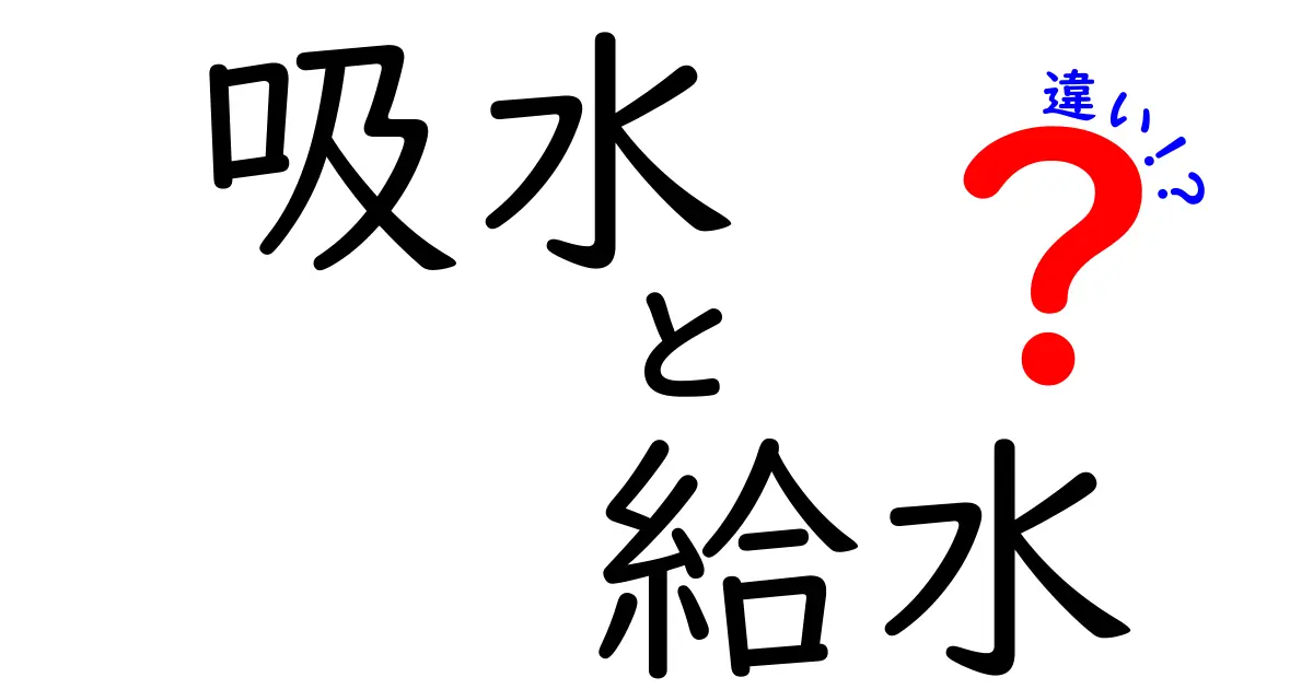 吸水と給水の違いを知ろう！日常生活に潜む重要なポイント