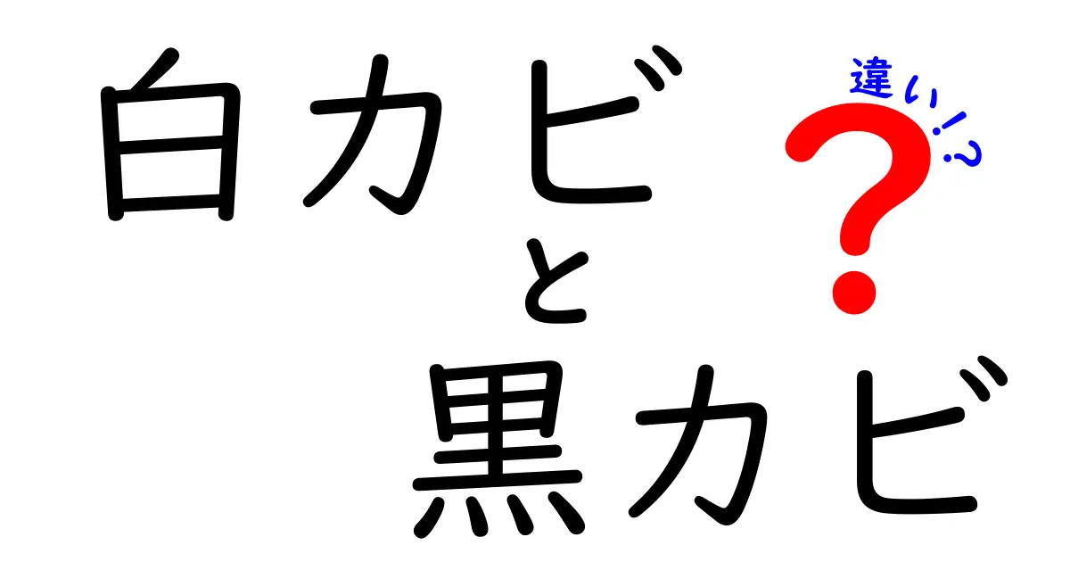 白カビと黒カビの違いを知ろう！見分け方と対策