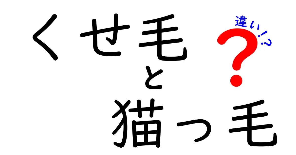 くせ毛と猫っ毛の違いとは？あなたの髪質、どちらに該当するの？