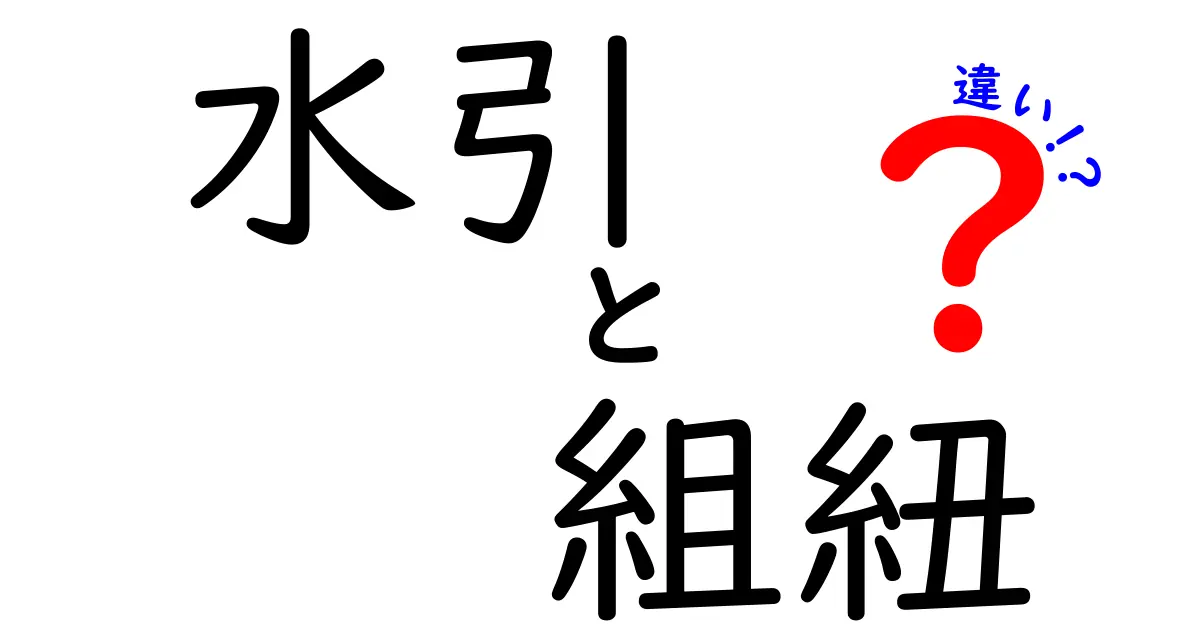 水引と組紐の違いを知って、もっと楽しもう！