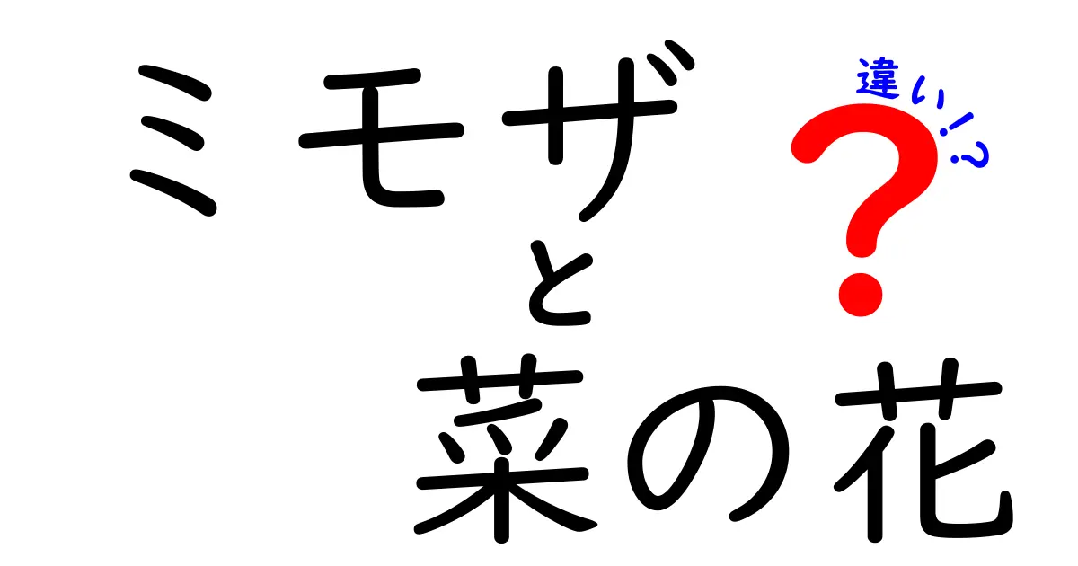 ミモザと菜の花の違いを徹底解説！見た目や特徴を比較してみよう