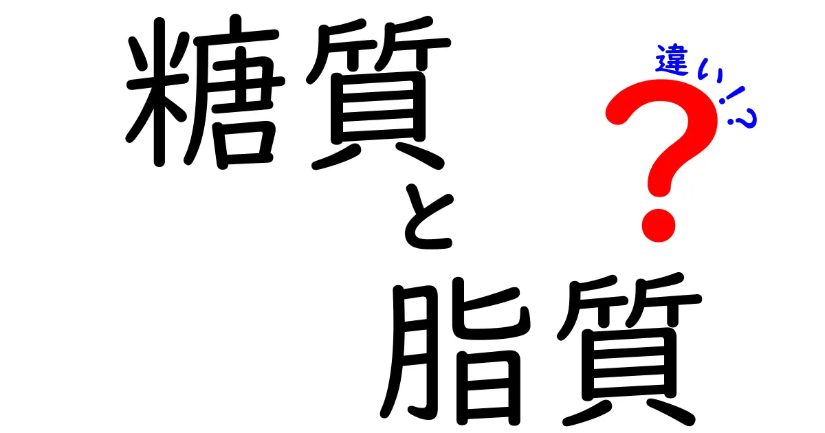 糖質と脂質の違いを簡単に解説！あなたの食生活に役立つ情報