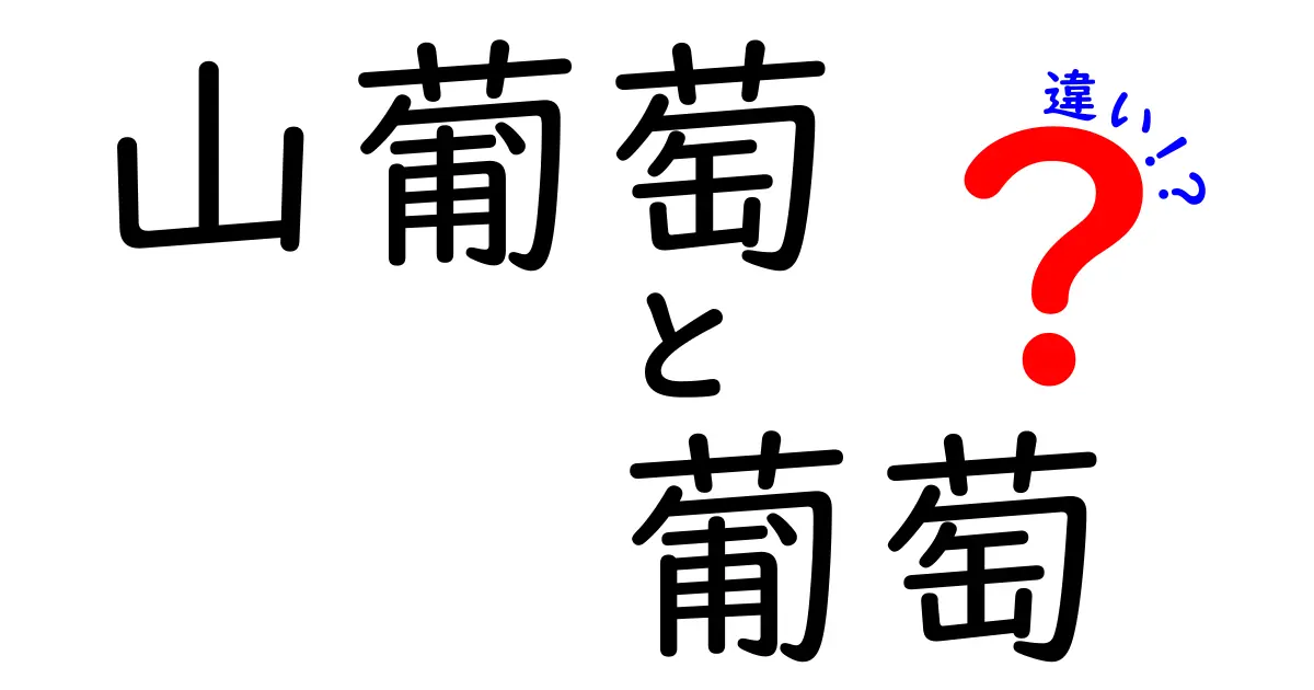 山葡萄と葡萄の違いを徹底解説！それぞれの特徴と魅力