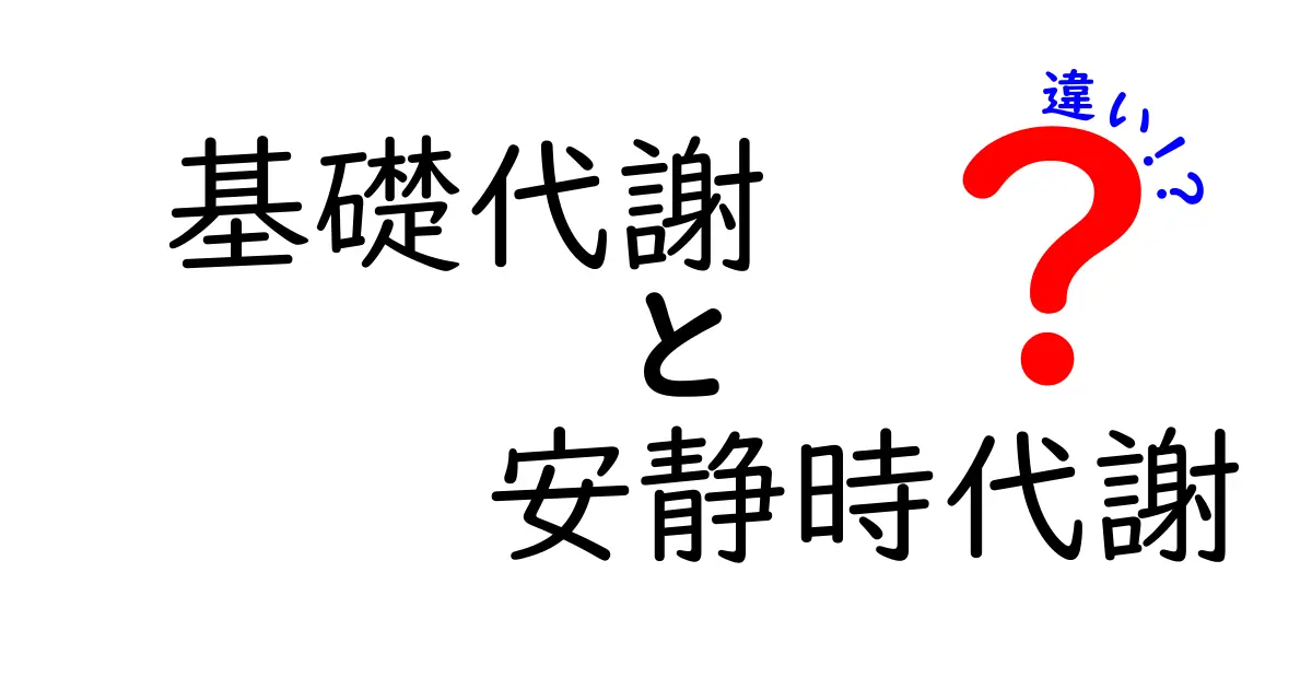 基礎代謝と安静時代謝の違いを徹底解説！あなたの体と健康に不可欠な知識