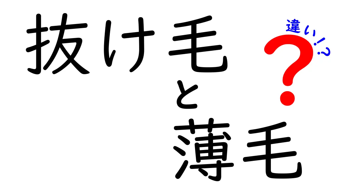 抜け毛と薄毛の違いをわかりやすく解説！あなたの髪の悩みはどちら？