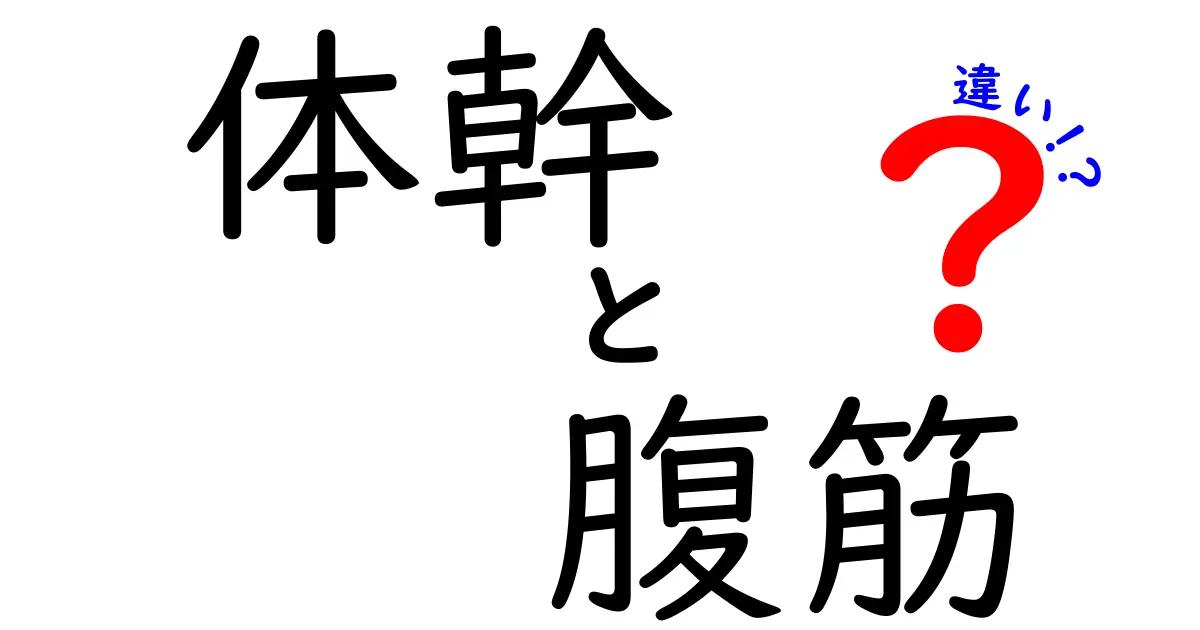 体幹と腹筋の違いを徹底解説！あなたの体を支えるのはどっち？