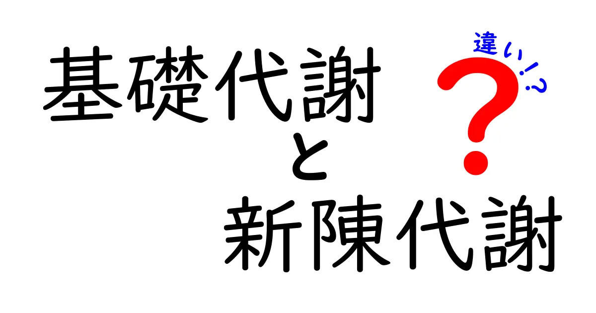 基礎代謝と新陳代謝の違いを徹底解説！あなたの健康を支える重要な知識