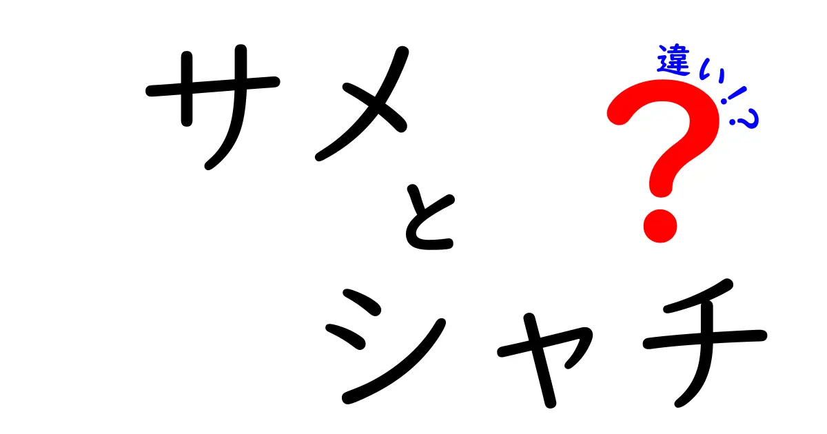 サメとシャチの違いを徹底解説！見分け方や生態について知ろう