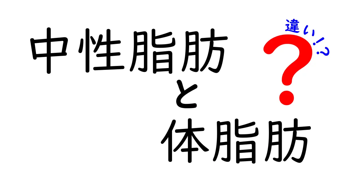 中性脂肪と体脂肪の違いを徹底解説！健康管理に役立つ知識