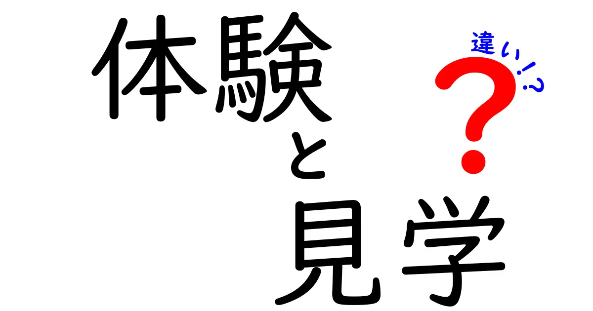 体験と見学の違いを知ろう！どちらが自分に合っているのか解説します