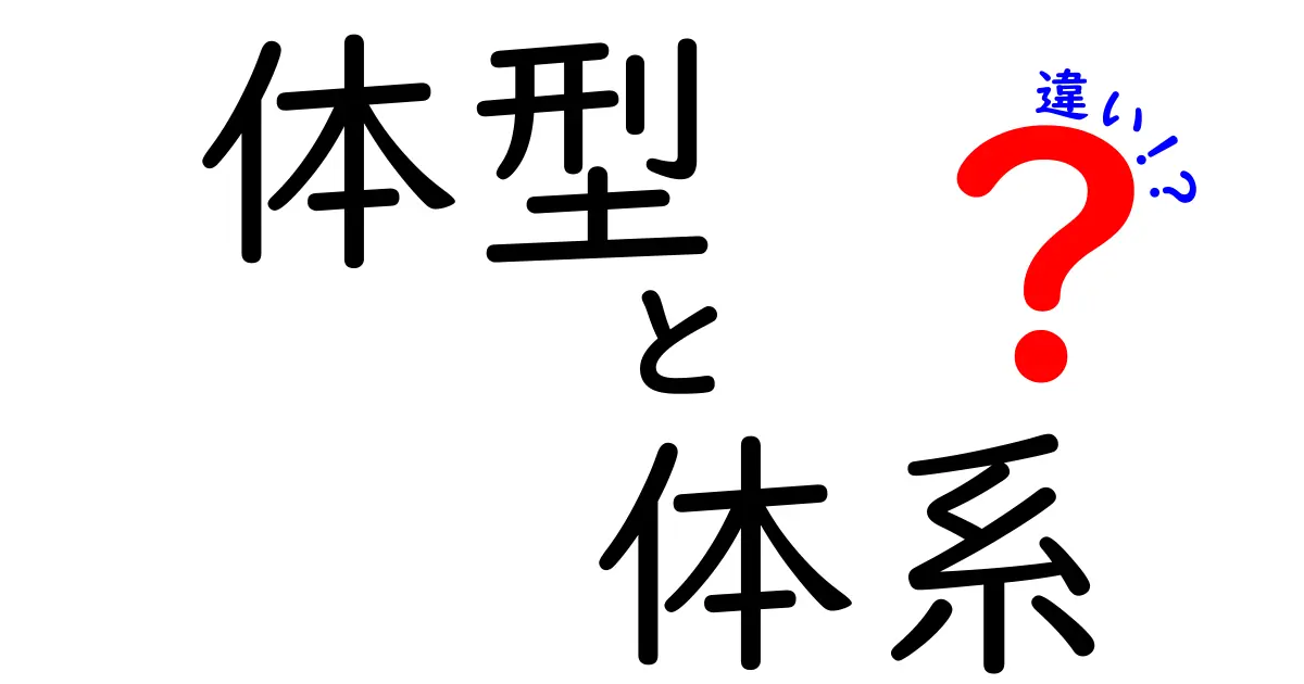 体型と体系の違いをしっかり理解しよう！