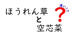 ほうれん草と空芯菜の違いは？