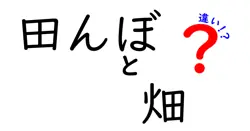 田んぼと畑の違いは？