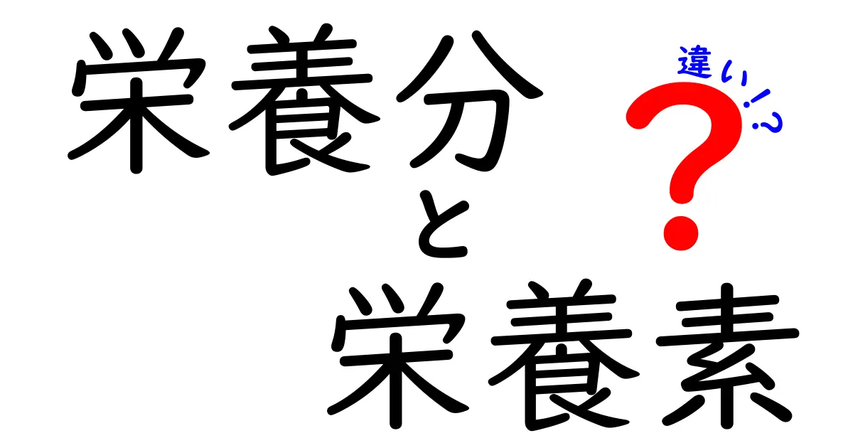 栄養分と栄養素の違いを理解しよう！あなたの健康を守る基本知識