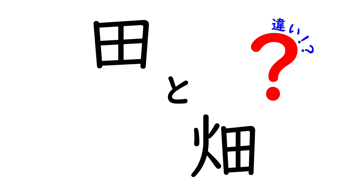 田と畑の違いを知って農業の基本をマスターしよう!