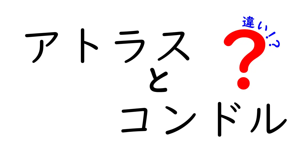 アトラスとコンドルの違いを徹底解説！どちらも魅力的な生物の正体とは？