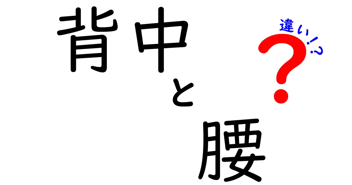 背中と腰の違いとは？知っておきたい体の基本