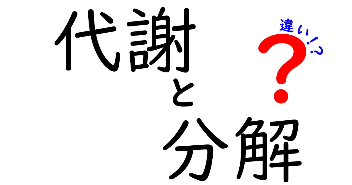 代謝と分解の違いをわかりやすく解説！あなたの体の中で何が起こっているの？