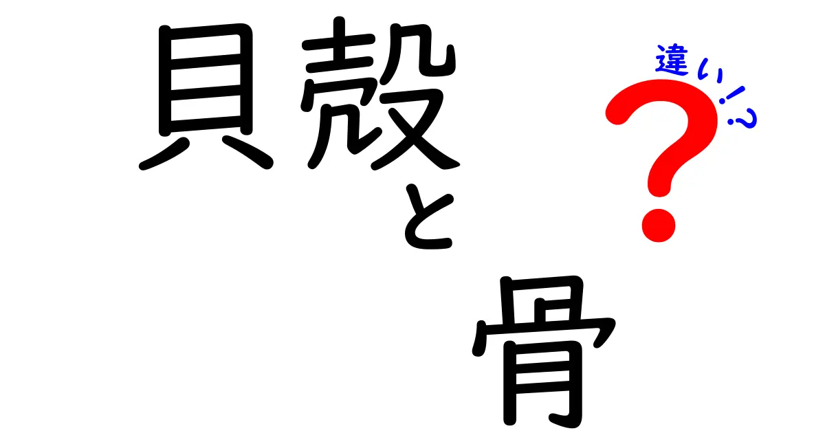 貝殻と骨の違いとは？自然界の素材を徹底解説