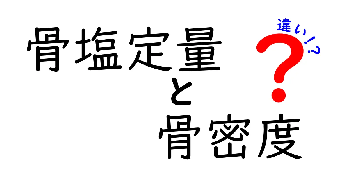 骨塩定量と骨密度の違いとは？知っておきたい基礎知識