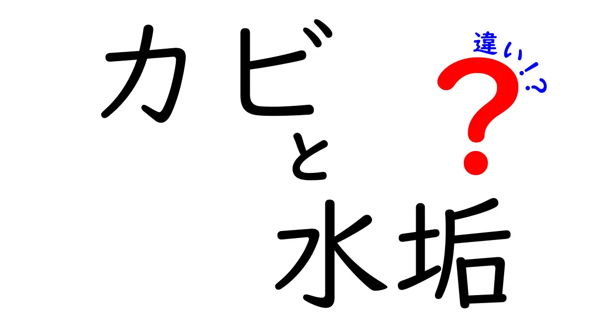 カビと水垢の違いを徹底解説！見分け方と対策も紹介