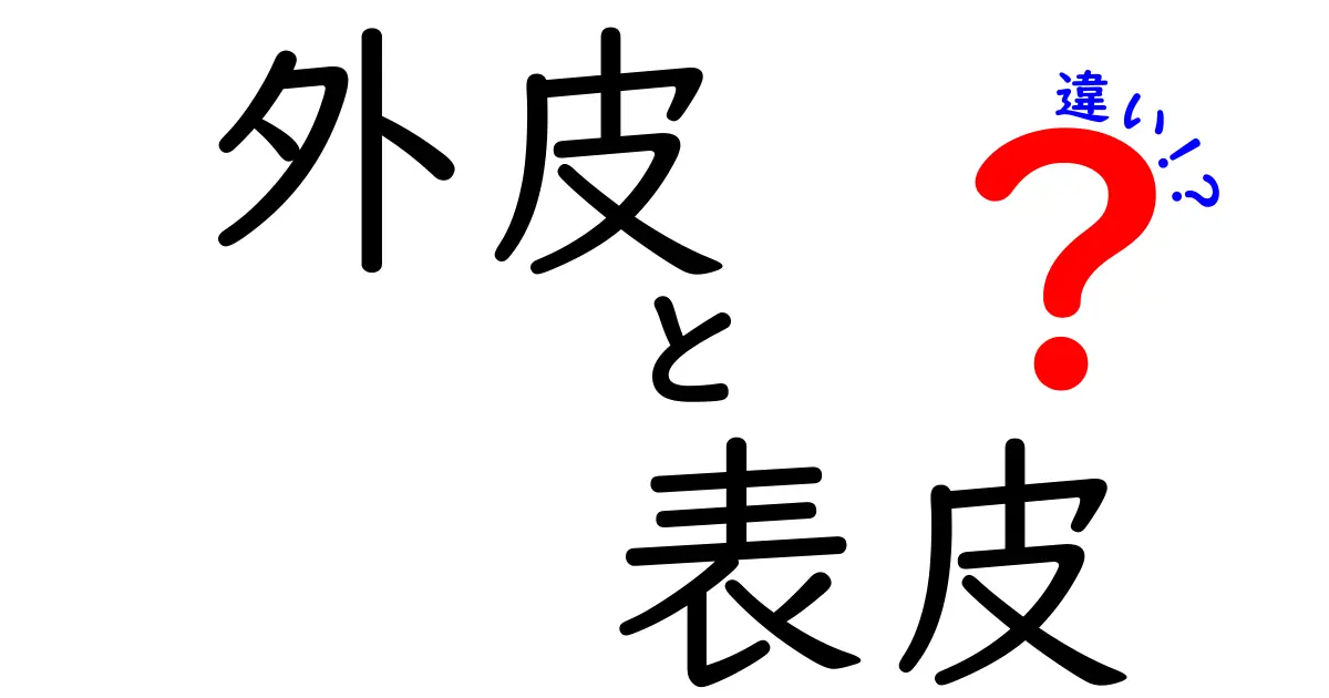 外皮と表皮の違いを徹底解説！見た目だけじゃないその役割とは？