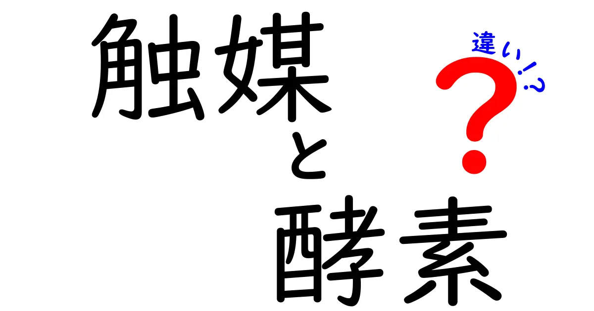 触媒と酵素の違いを解説！理解しやすい科学の世界