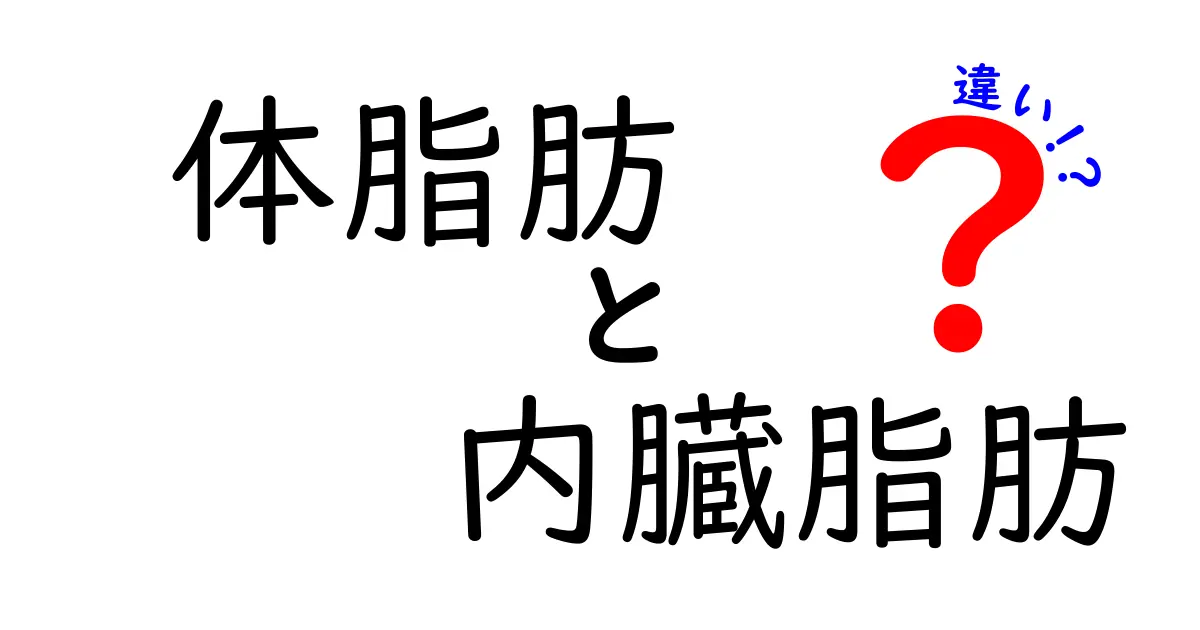 体脂肪と内臓脂肪の違いを徹底解説！健康を守るための知識