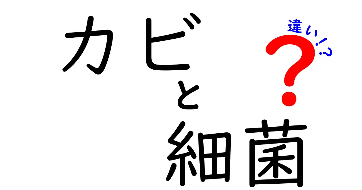 カビと細菌の違いを徹底解説！身近に潜むライバルたちの正体とは？