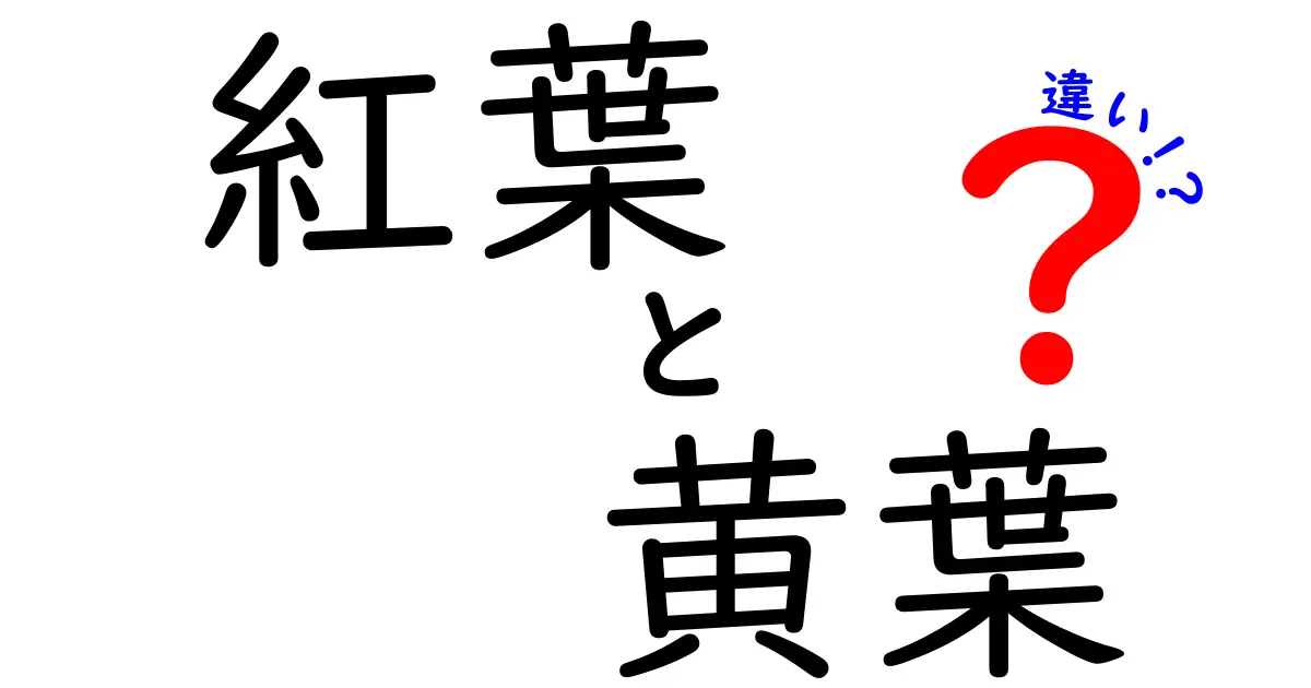 紅葉と黄葉の違いを知って秋をもっと楽しもう！