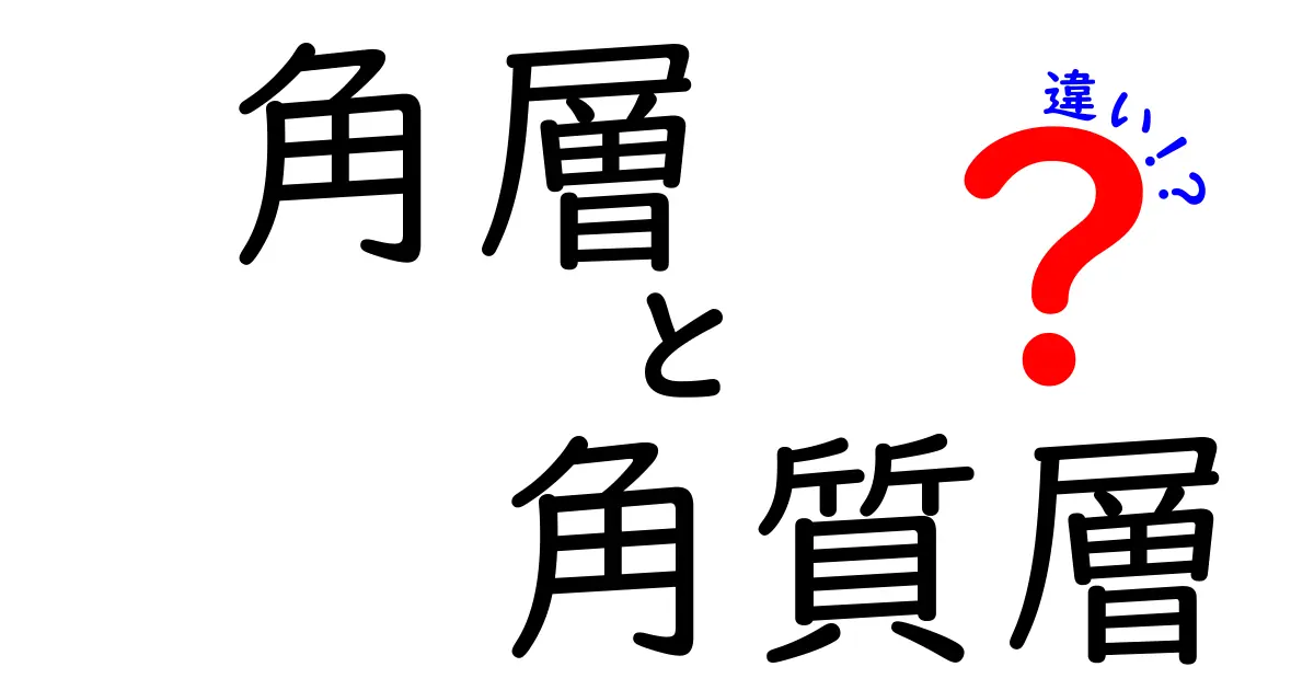 角層と角質層の違いを簡単に解説！あなたの肌の理解を深めよう