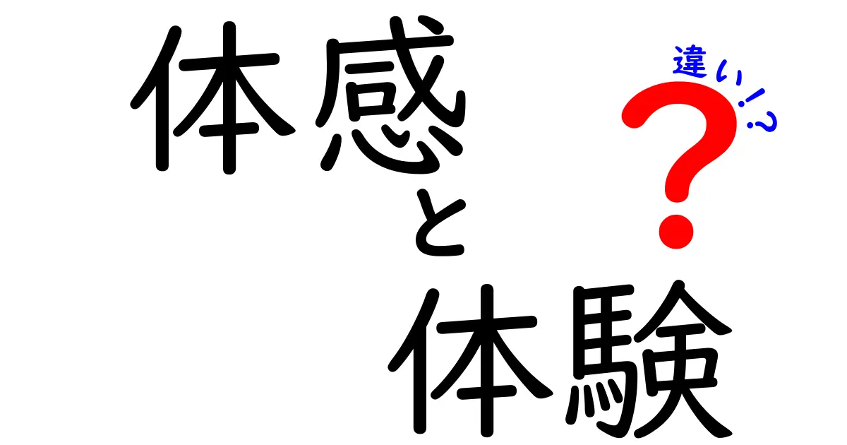 体感と体験の違いとは？あなたの感覚を深く理解しよう！