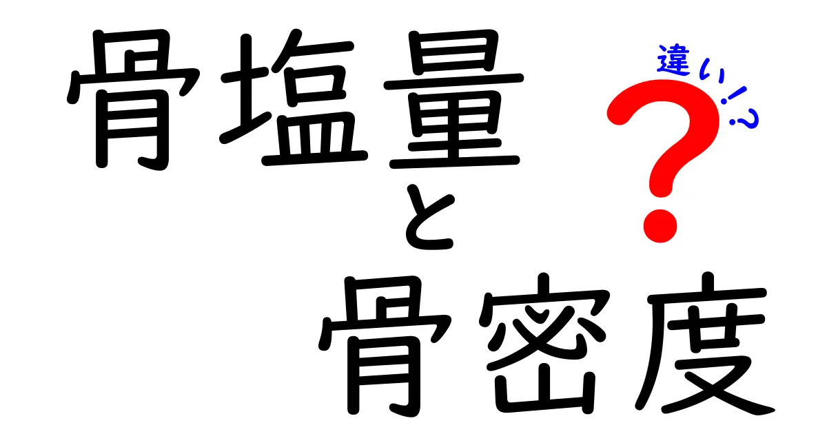 骨塩量と骨密度の違いをわかりやすく解説！健康な骨を保つために知っておきたいこと