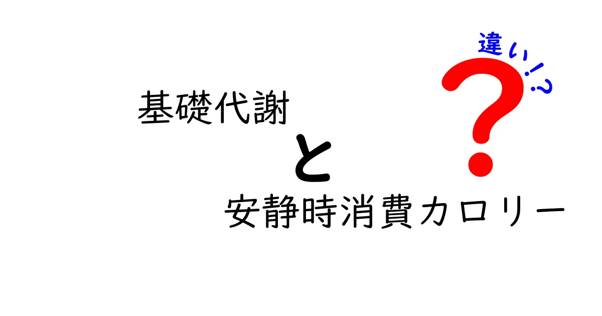 基礎代謝と安静時消費カロリーの違いを徹底解説！あなたのカロリー管理に役立つ知識