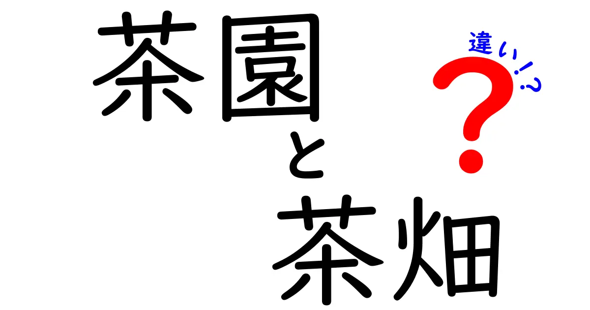 茶園と茶畑の違いをわかりやすく解説！それぞれの特徴とは？