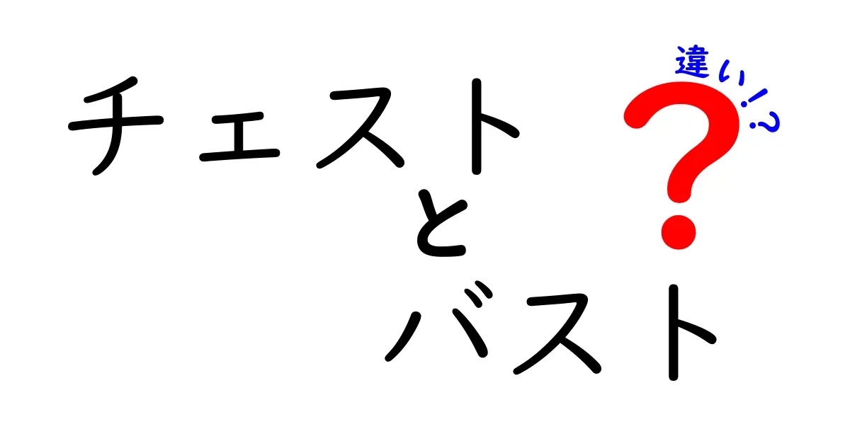 チェストとバストの違いを徹底解説！あなたは知ってる？