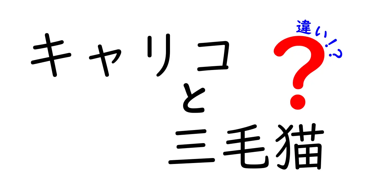 キャリコと三毛猫の違いを徹底解説！見た目や性格の違いとは？